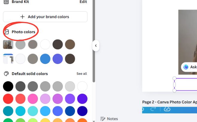 canva photo color apply choose color